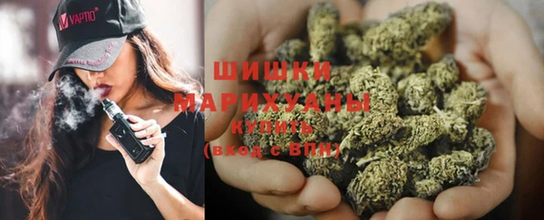 дурь Алзамай